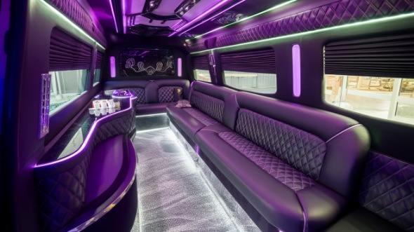 chico party bus rental inside